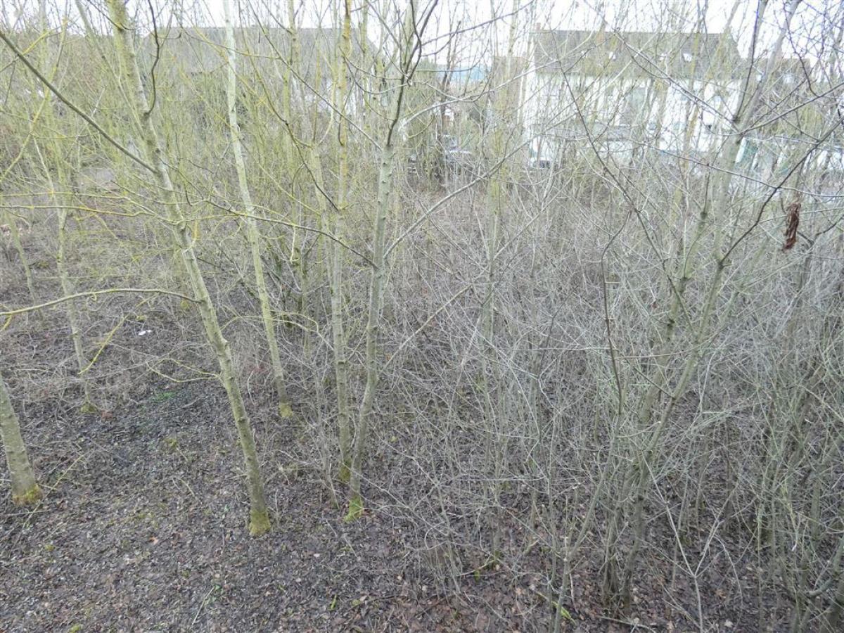 Blick von oben auf das Grundstück vor dem Haus