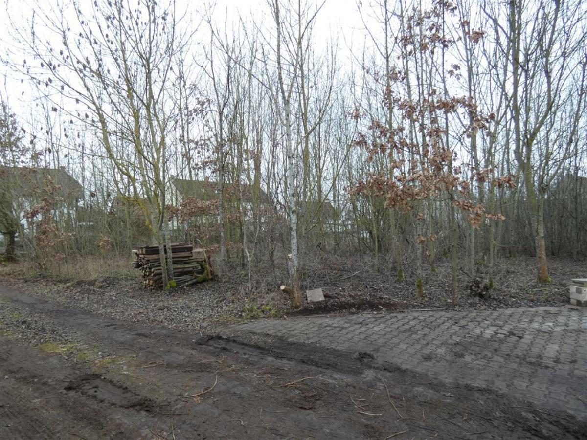 viel Platz für viele Ideen