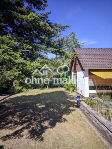 Rasenfläche (Westseite)