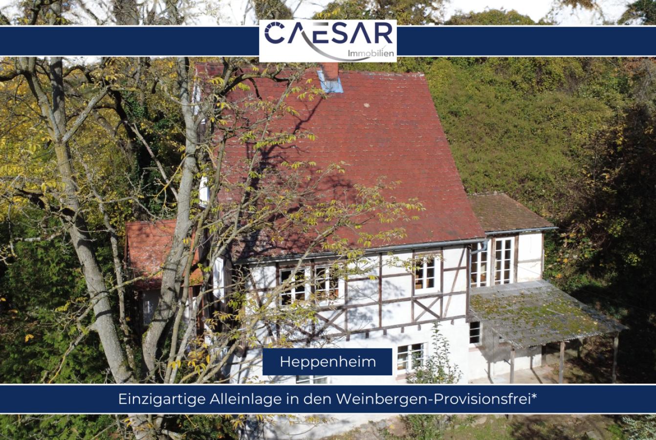 Autark wohnen in den Weinbergen