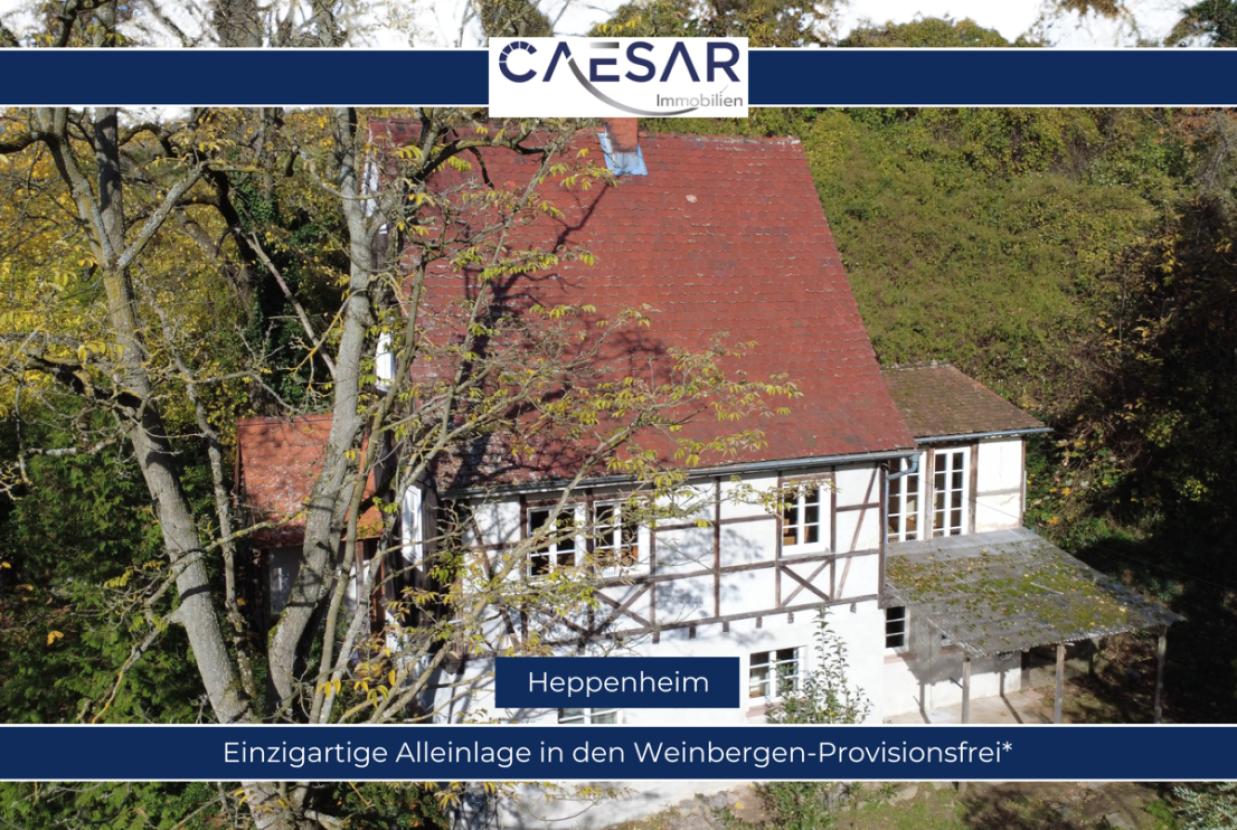 Autark wohnen in den Weinbergen