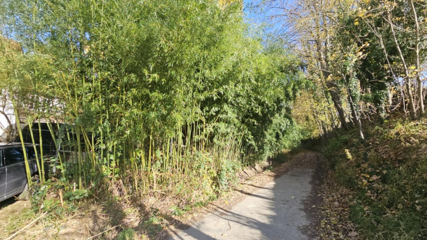 PRIVATSPHÄRE wird Großgeschrieben