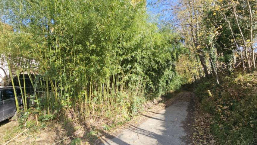 PRIVATSPHÄRE wird Großgeschrieben