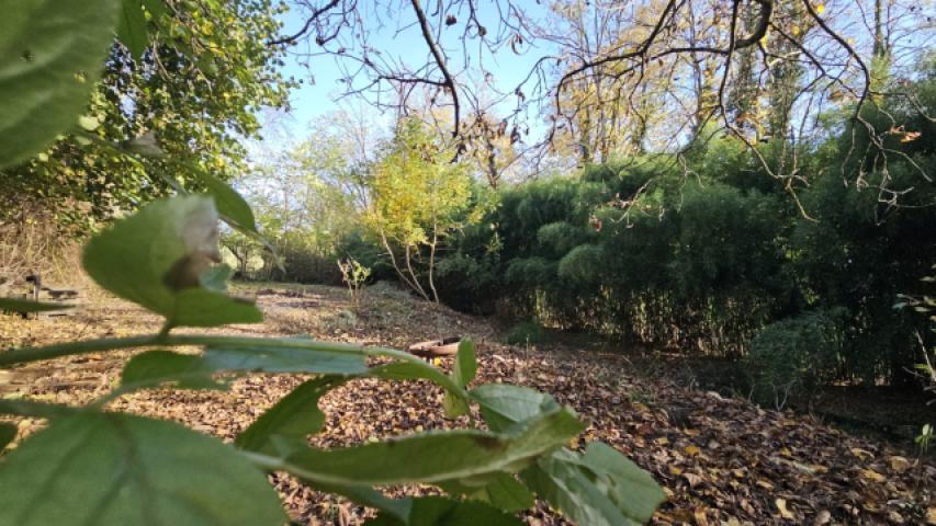 Über 2.700 qm Grundstücksfläche