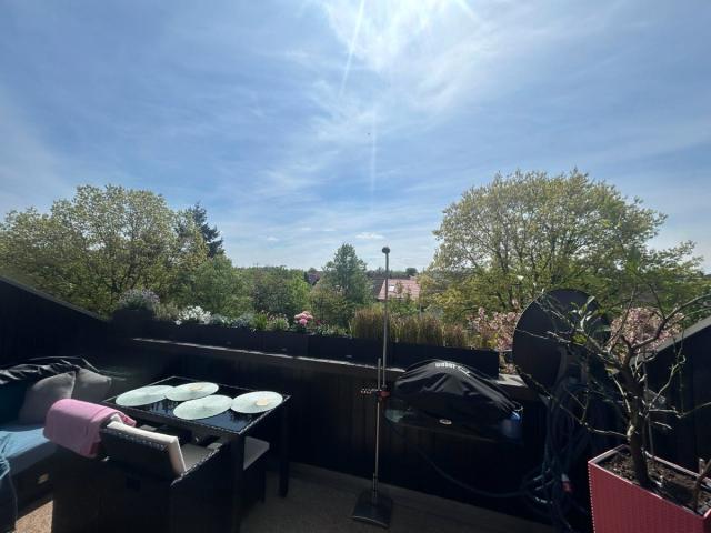 Blick über die Terrasse