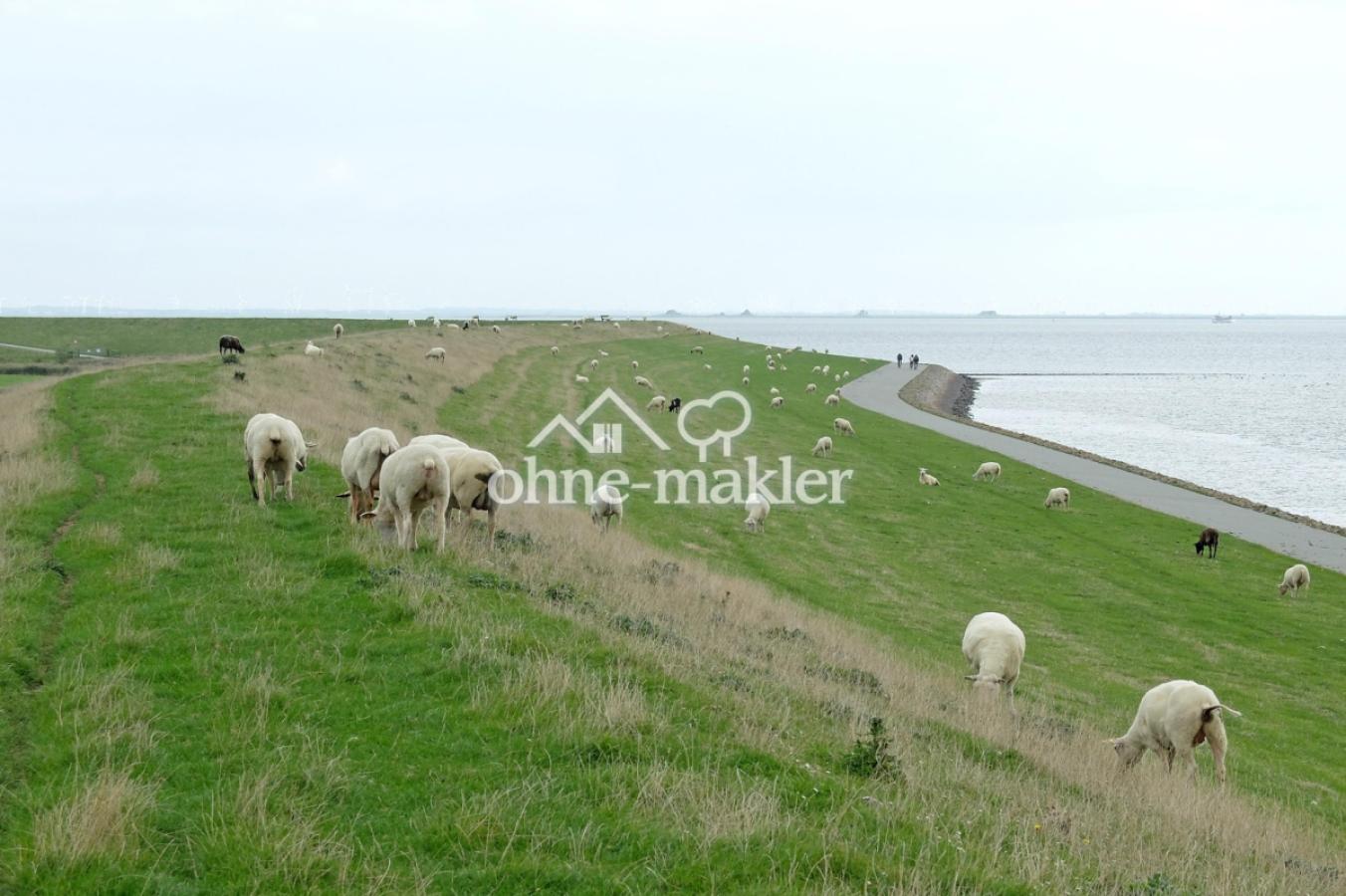 Direkt am Deich des Hafens