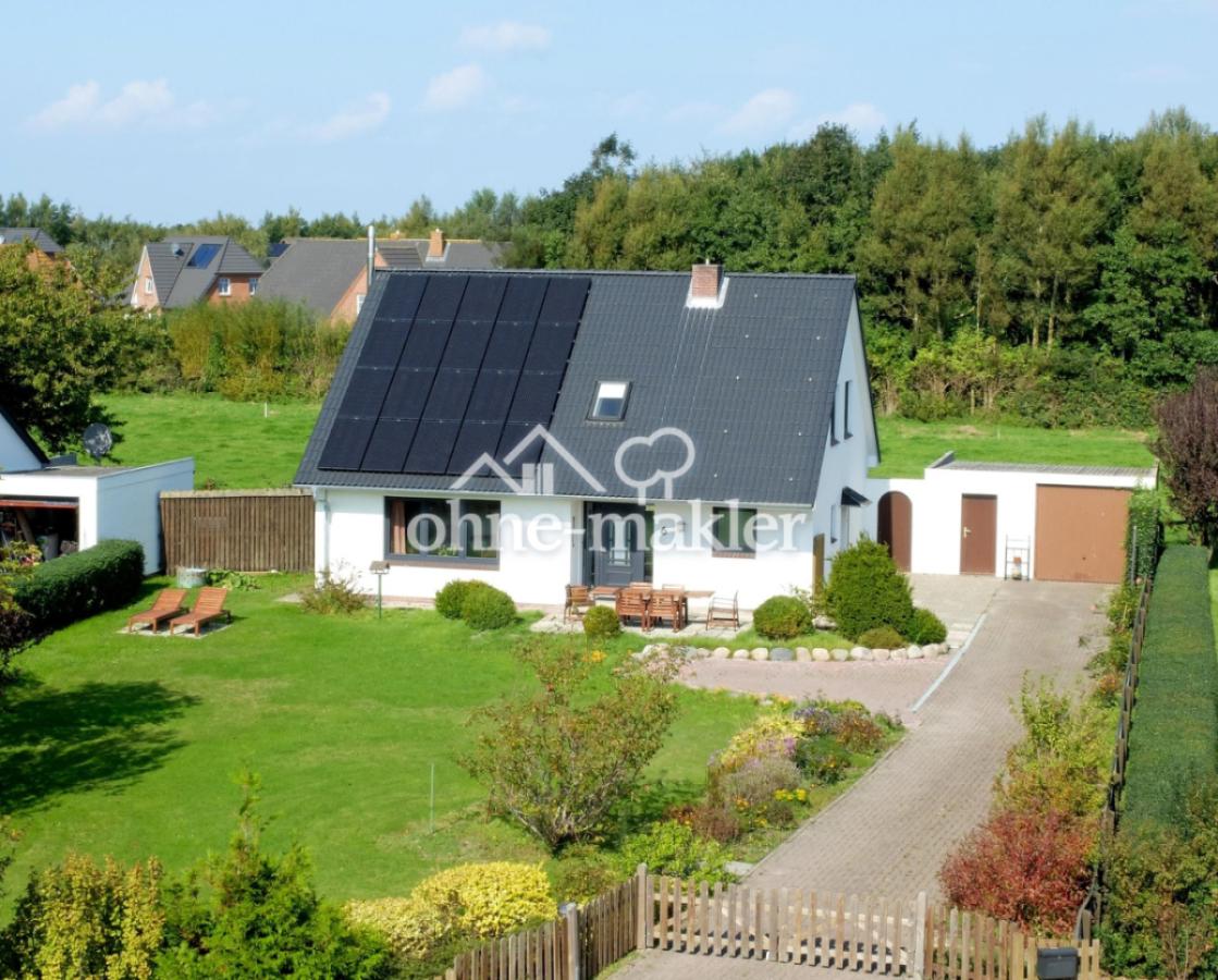 Blick vom Hafendeich