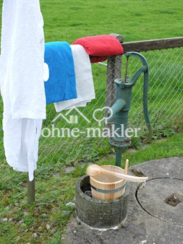 Schwengelpumpe Hausrückseite