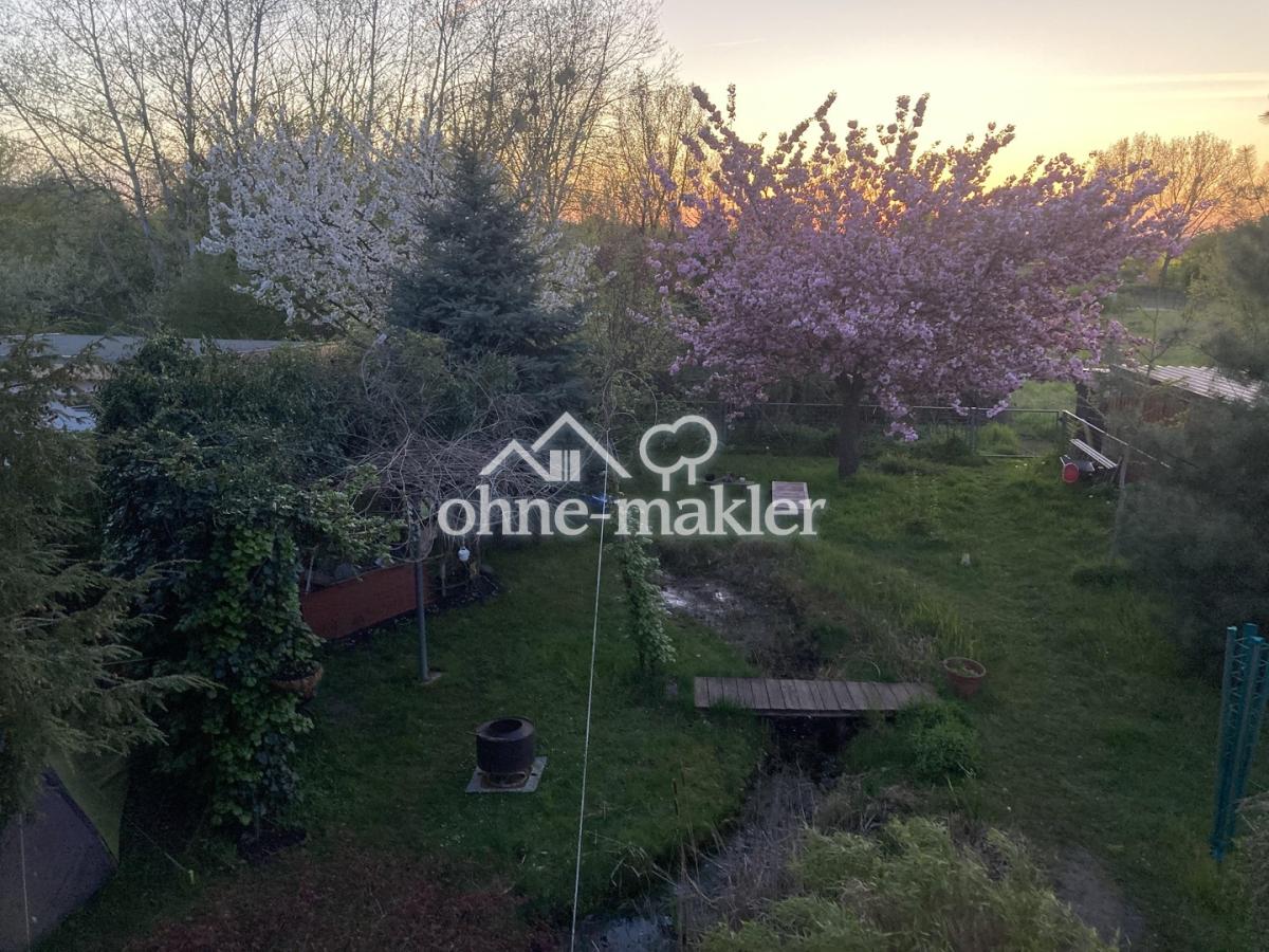 Frühling - Kirschbaumblüte