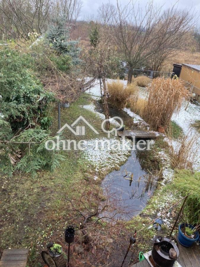 Frühling Gesamtansicht Garten