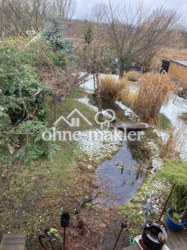 Frühling Gesamtansicht Garten