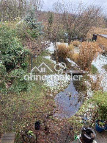 Frühling Gesamtansicht Garten