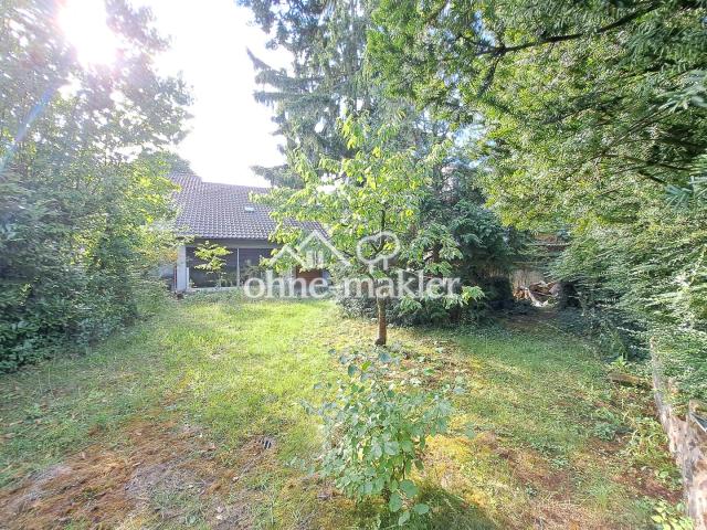 Oase mit Platz zum Toben