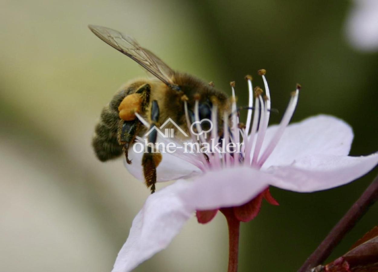 Quelle der Liebe u. des Lebens