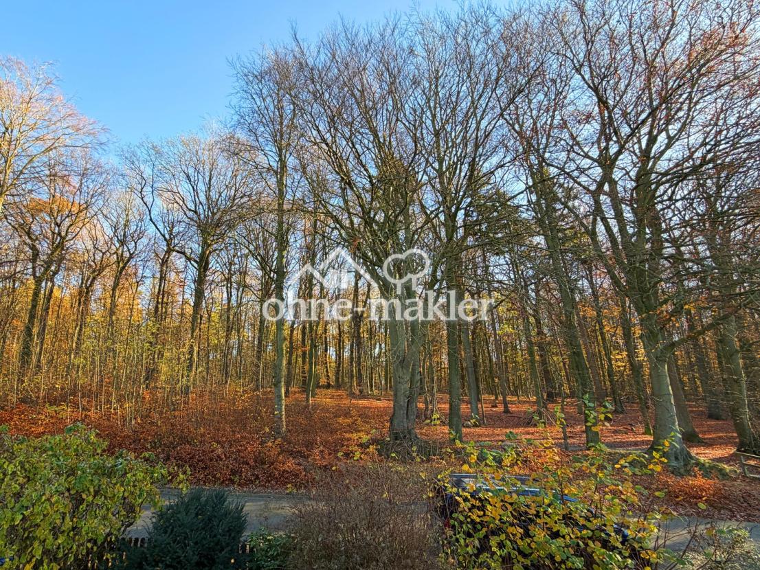 Waldblick Kinderzimmer!