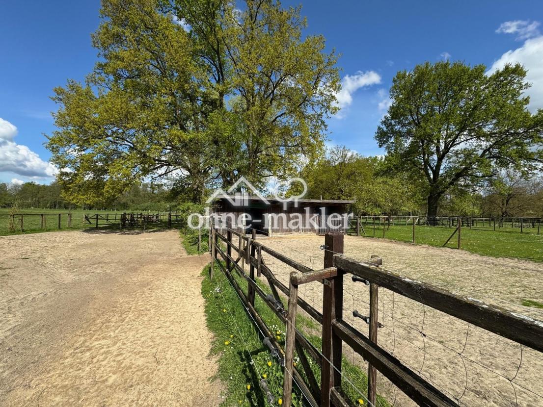 Paddocks für Pferde