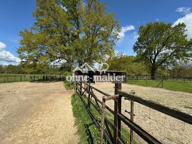 Paddocks für Pferde