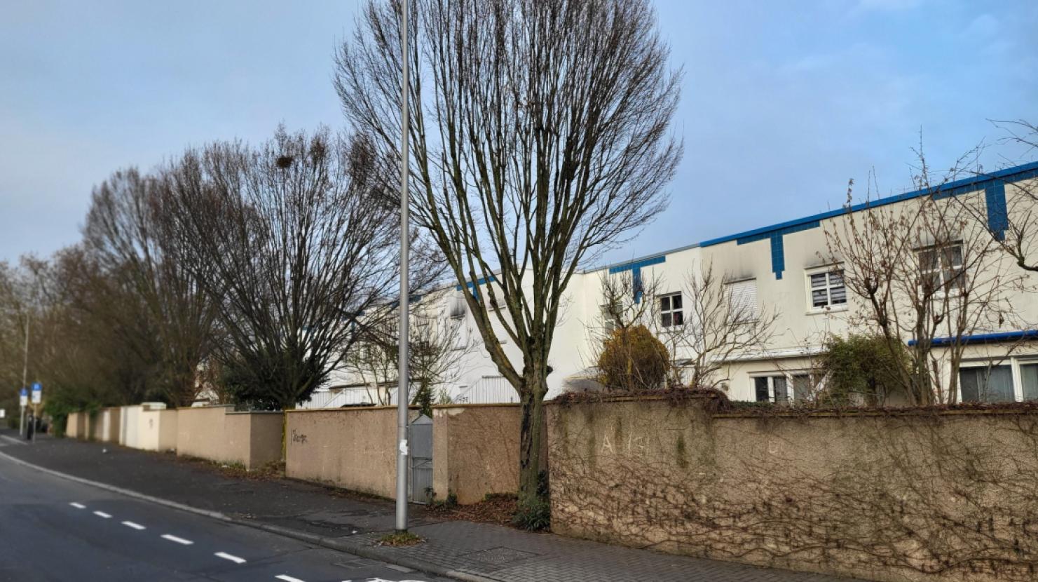 Straßenfront Rückseite