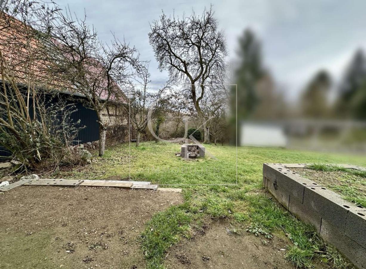 Terrasse & Garten/ Grünfläche