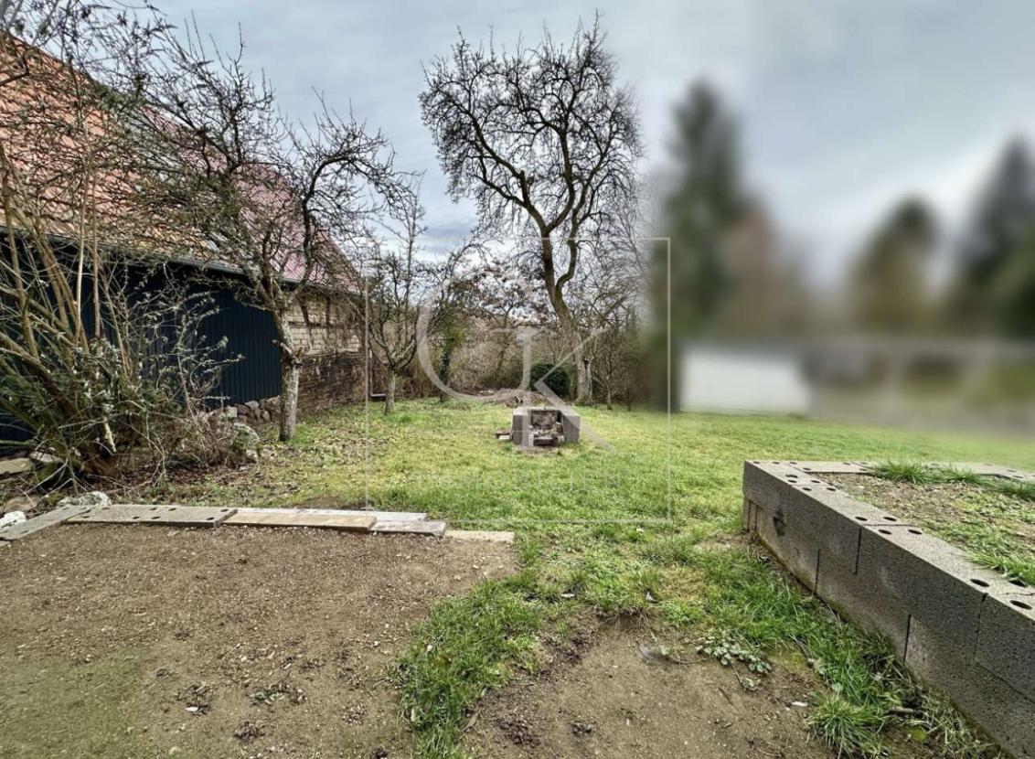 Terrasse & Garten/ Grünfläche