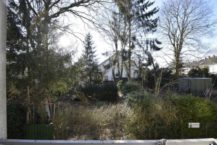 Blick in den verwilderten Garten hinter dem Haus