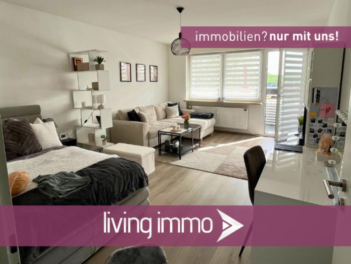 Vorlage Startbild Normal Logo und Fenster living immo Farbe(34)