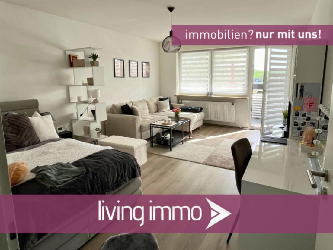 Vorlage Startbild Normal Logo und Fenster living immo Farbe(34)