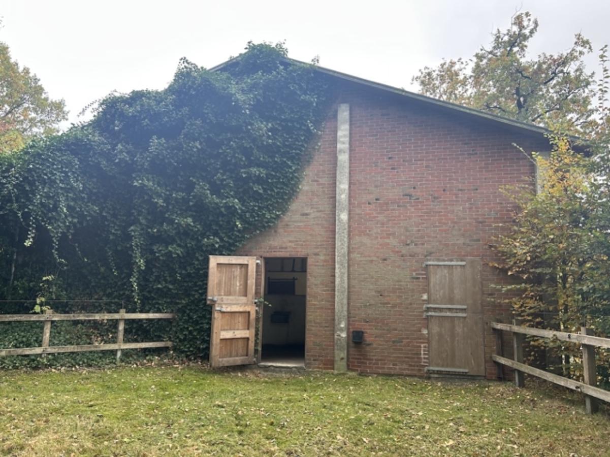 Paddock an Hallen-Box