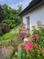 Gartenimpressionen
