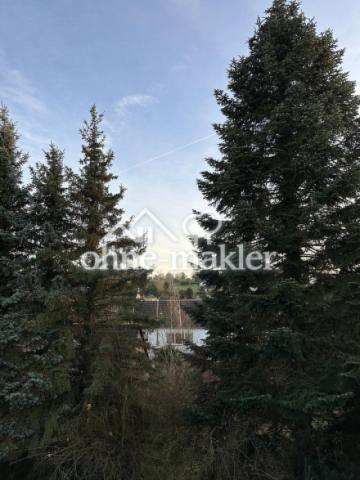 Blick Südbalkon ins Grüne