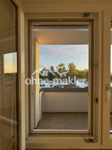 Fliegengitter - Fenster