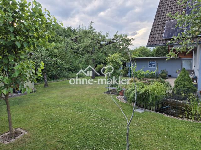 Blick in den hinteren Teil