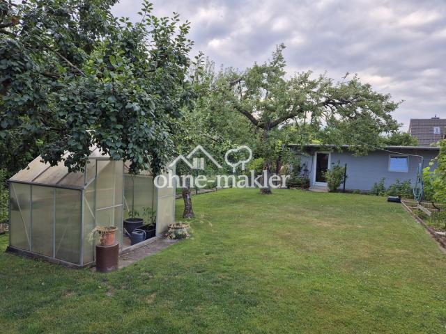 Blick auf Garage/Gewächshaus