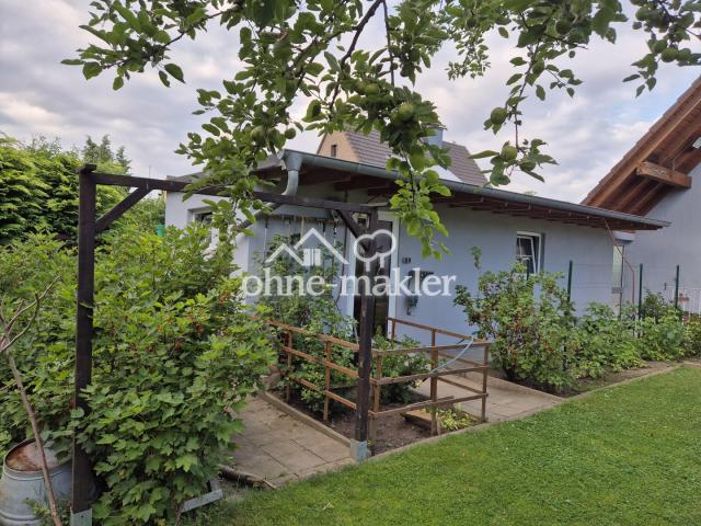 Garage/Hintereingang Garten