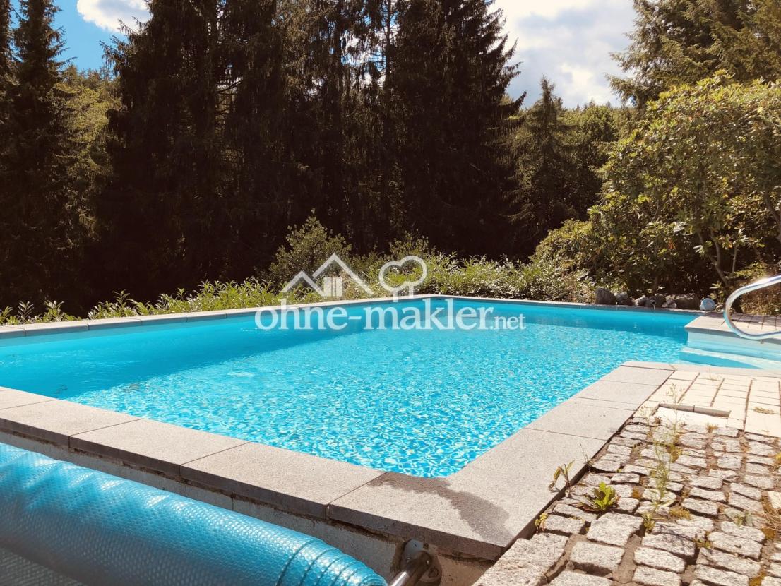 Garten und Pool 6