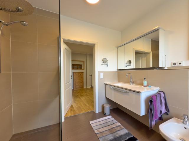 modernisiertes Duschbad EG