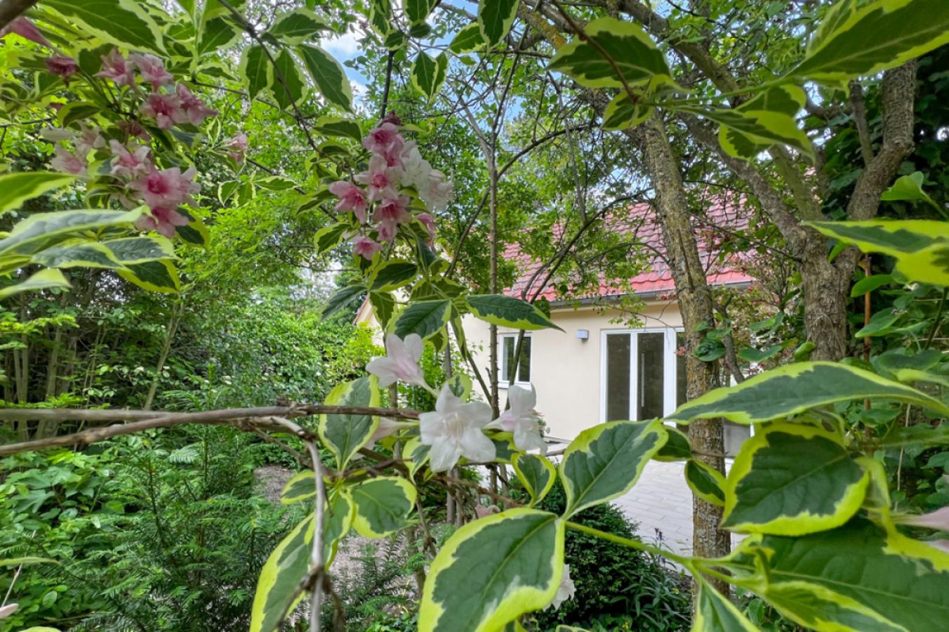 Versteckt im Grünen