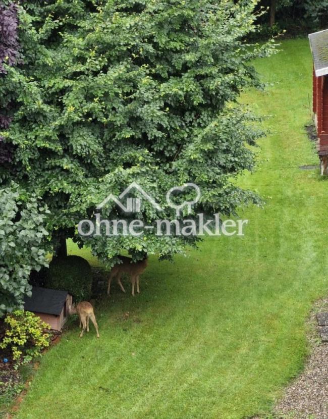 Blick aus dem Schlafzimmer