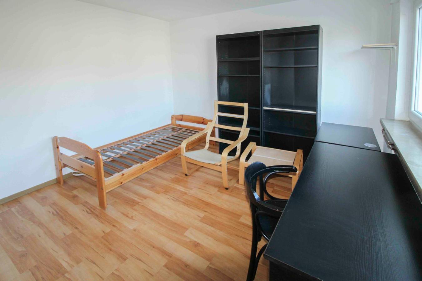 Wohn-Schlafzimmer (2)