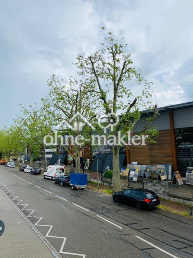 Ausblick zur Straße