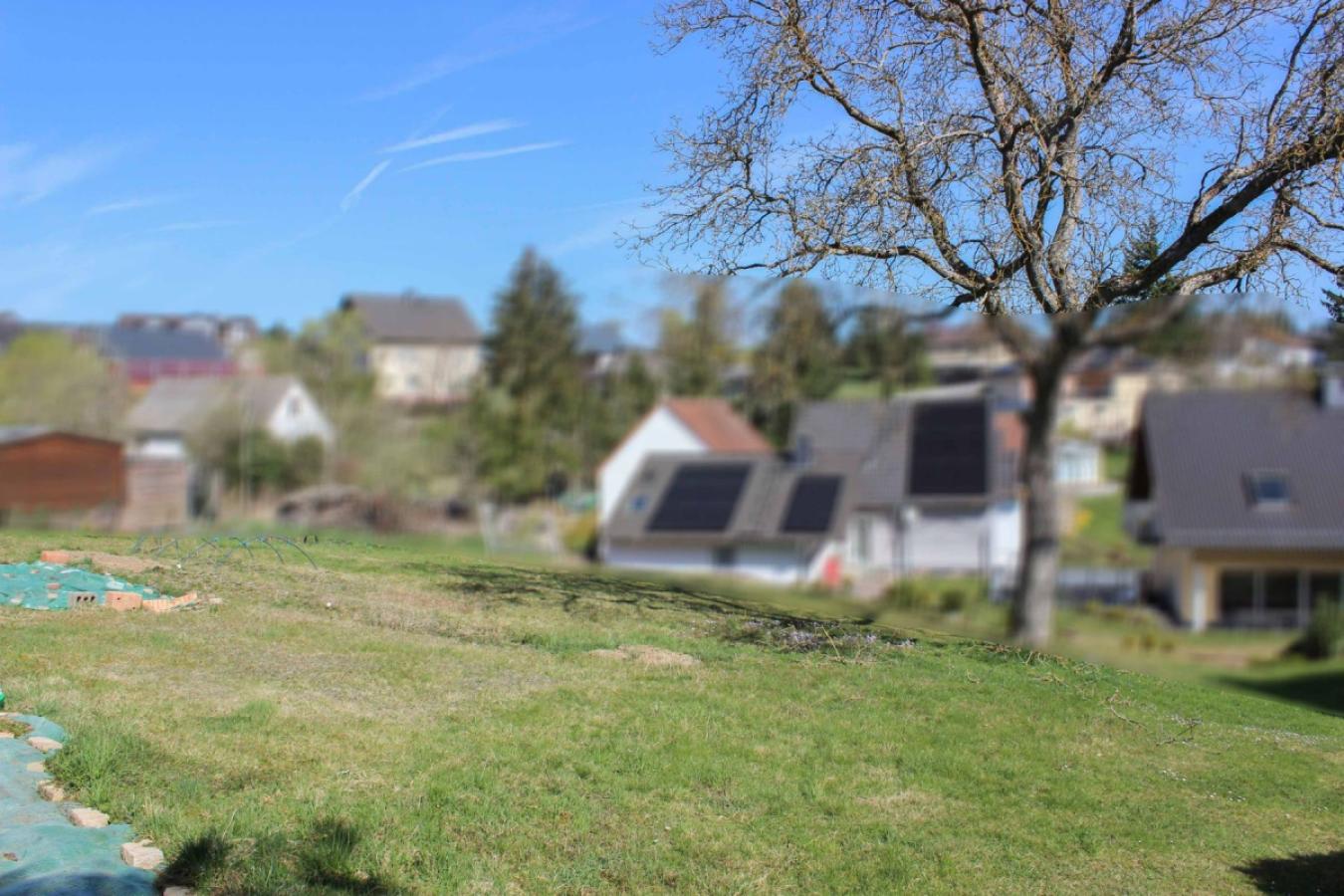 Blick Richtung Norden Nachbarschaft