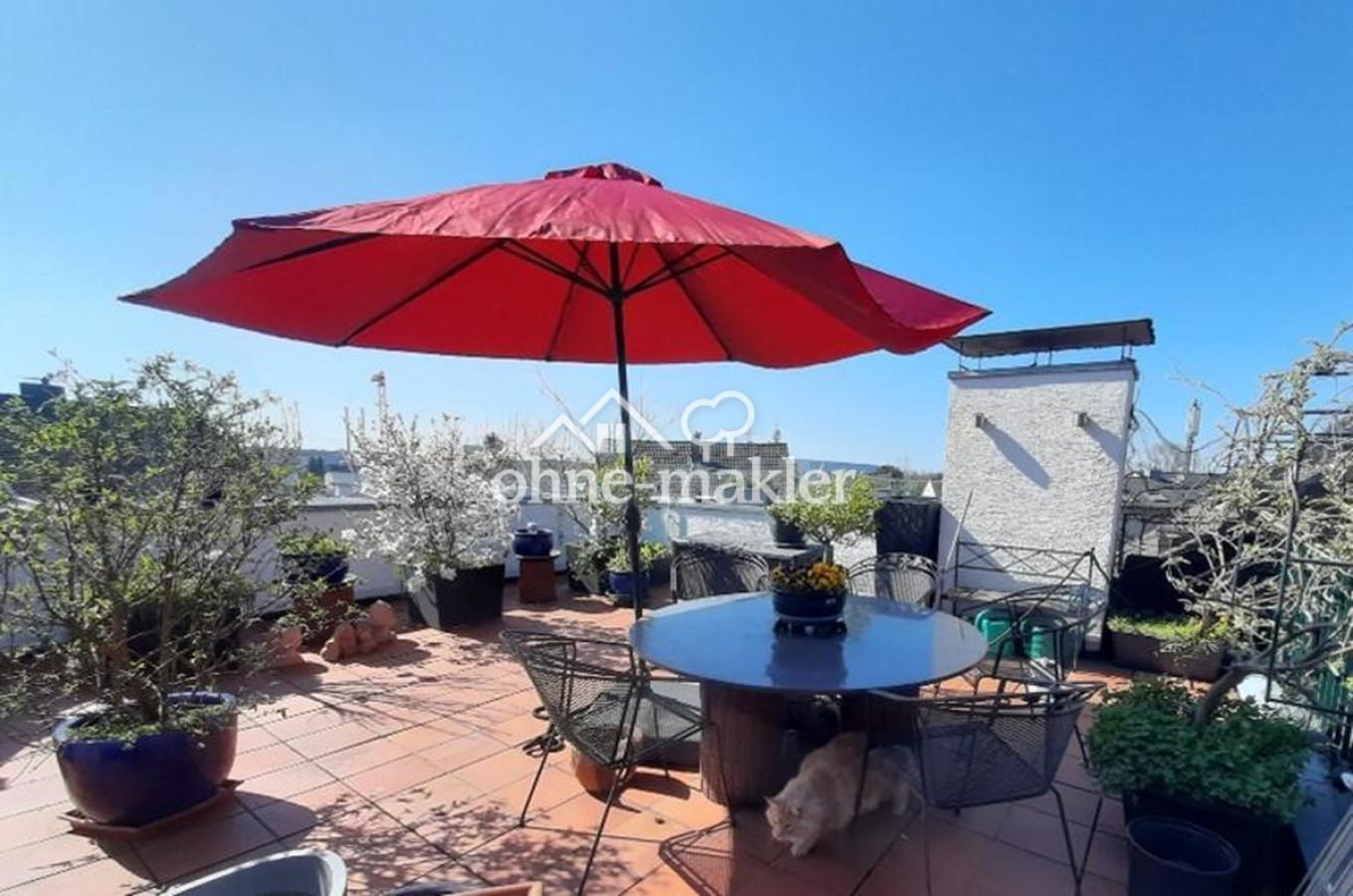 obere Terrasse es frühlingt