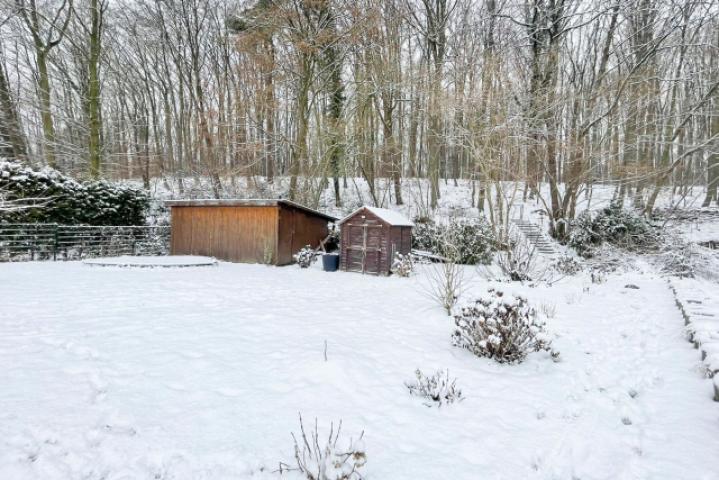 Garten_m._Waldzugang