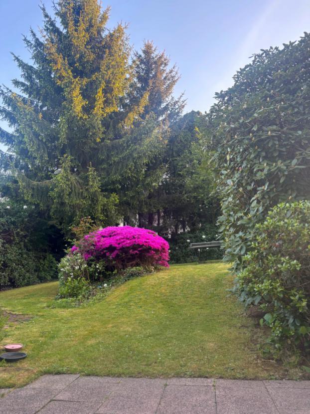 Weitere Ansicht Garten 