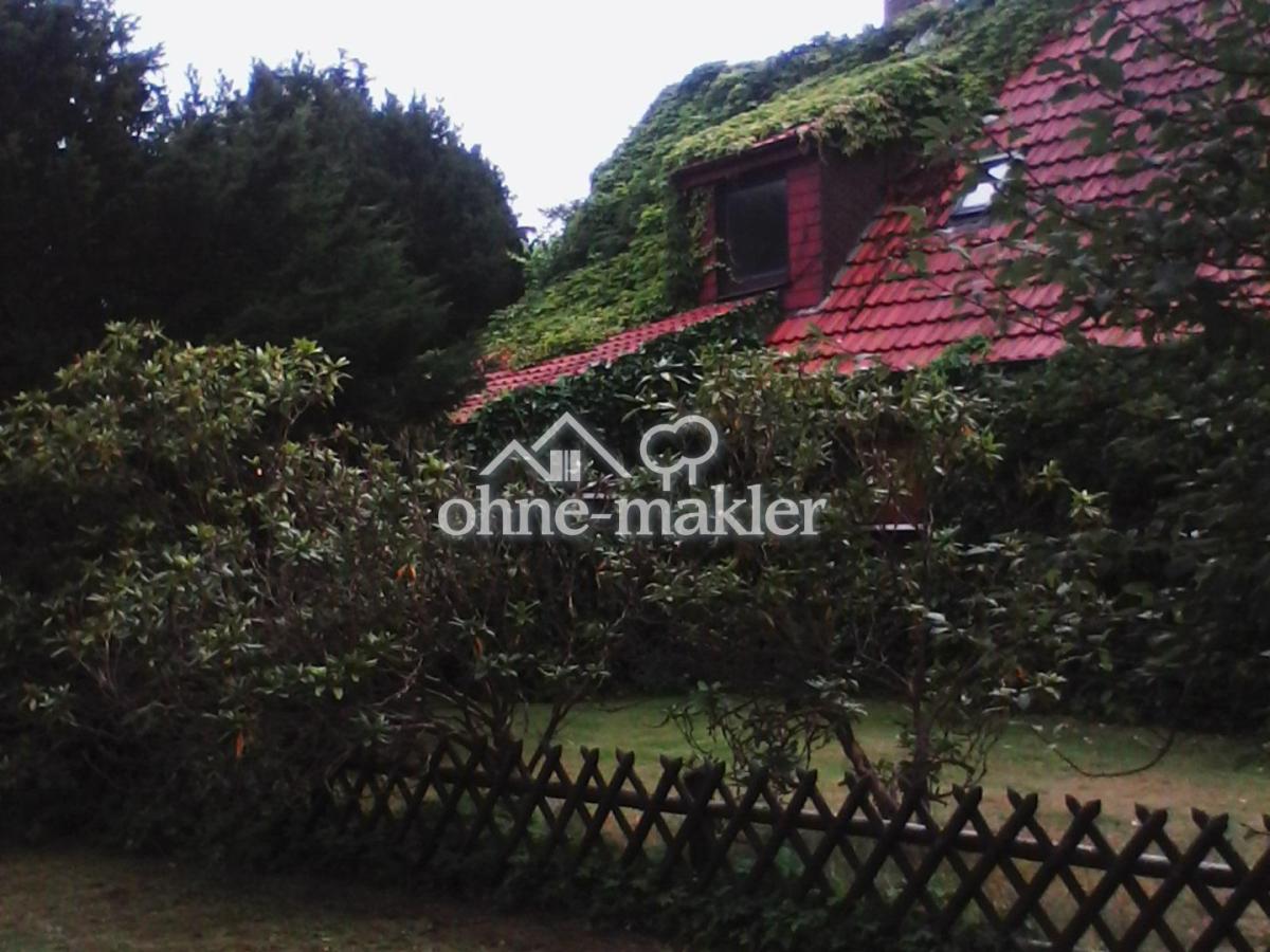 Ostseite des Grundstücks