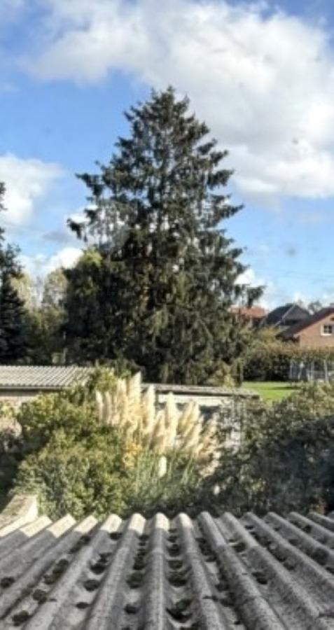 17-Blick aus dem Bad in den Garten-Ost.