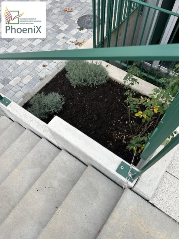 Details mach das Leben schön_Aufgang zur Terrasse 