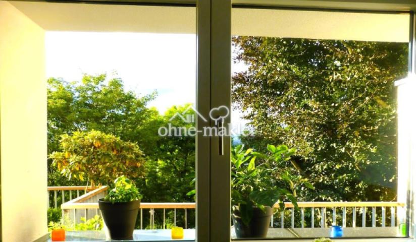 Ausblick aus der Küche