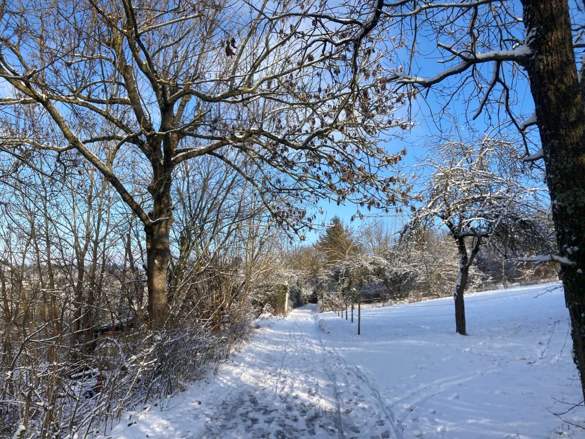 Winterimpressionen: Zufahrtsweg oberhalb des Grundstücks