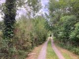 Zuweg zum Grundstück